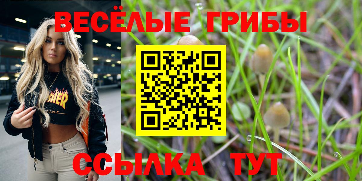 ГАШИШ Муром